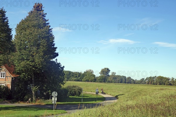 Cycle path along a dyke, green fields and trees under a blue sky on a clear day, autumn, cycle tourism, Elbe, Damnatz, Wendland, Lower Saxony, Germany