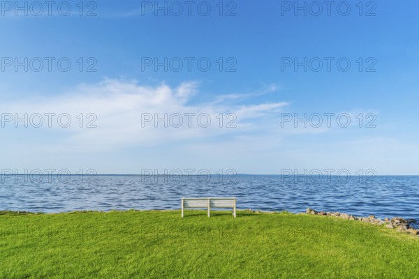 Isolated, white, empty bench in a meadow on the shore of the Szczecin Lagoon in the village of Altwarp, Am Stettiner Haff nature park Park, Mecklenburg-Western Pomerania, Germany