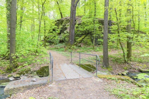 Hiking trail crosses the Kotitzer Wasser stream with a bridge in the Lausker Skala, Lauske, Weißenberg, Saxony, Germany
