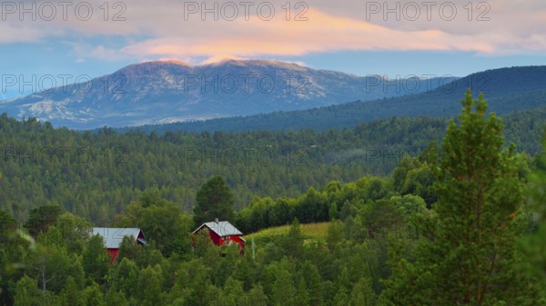 View of Dovrefjell, mountain, landscape photo, landscape format, fir forest, red wooden house, summer, evening light, Savalen Hesetesnter, Tynst, Innlandet, Norway