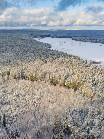 Snowy forest with fields, blue sky with clouds, cool, calm and natural atmosphere, Oberreichenbach, Black Forest, Calw County, Germany