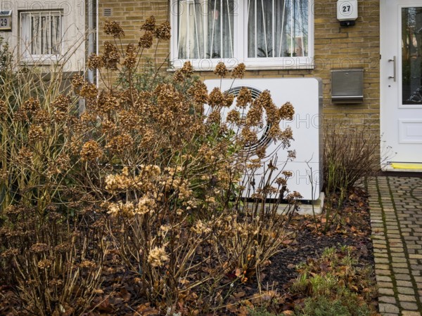 A heat pump behind faded hydrangea bushes in a front garden in Düsseldorf