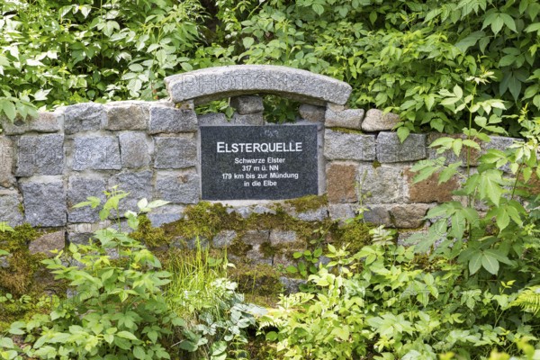 Elster spring, the source of the Black Elster, south of Elstra, near the district of Kindisch, Upper Lusatia, Saxony, Germany