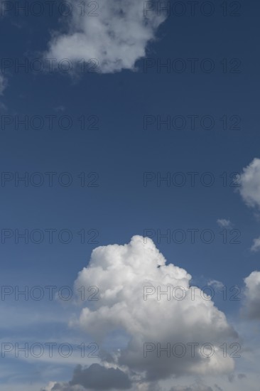 Cluster cloud (cumulus), blue sky, Bavaria, Germany