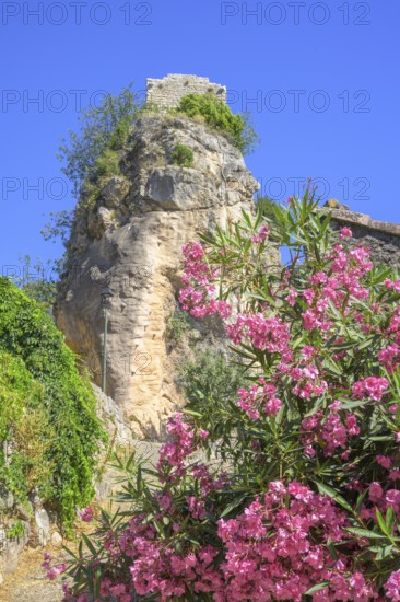 Red flowering rhododendron behind a stone tower in Châteaudouble, Département Var, France