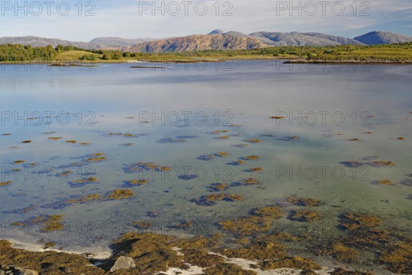 Transparent, clear water and reddish-brown rocks, Alstahaug, coastal road 17, Nordland, Norway