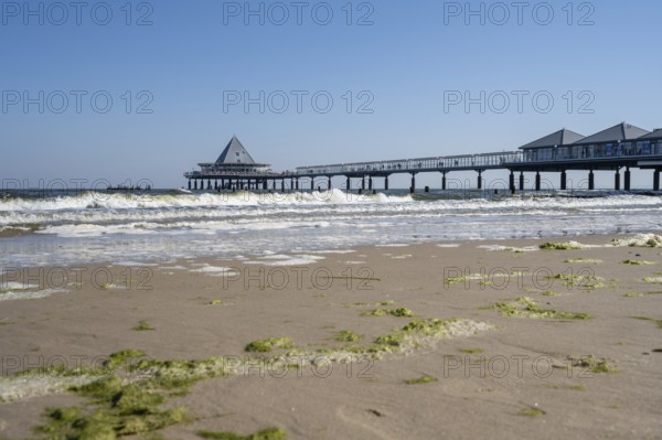 Pier, seaweed on the beach, Heringsdorf, Usedom Island, Baltic Sea, Mecklenburg-Western Pomerania, Germany