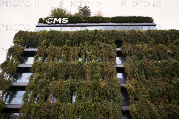 Climate-neutral façade greening on the new building, office building of CMS Hasche Sigle, Calwer Straße, Stuttgart, autumn, autumn colouring, Baden-Württemberg, Germany