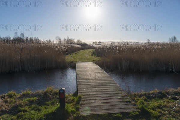 Backlit bridge, sun, De Alde Feanen National Park, the old fen, Earnewald, Eernewoude, Friesland, Fryslân, Netherlands
