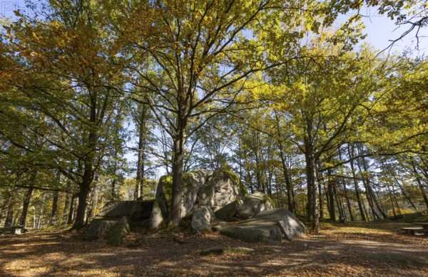 Granite rock Schuldstein, natural monument, Blockheide nature park Park near Gmünd, Waldviertel, Lower Austria, Austria