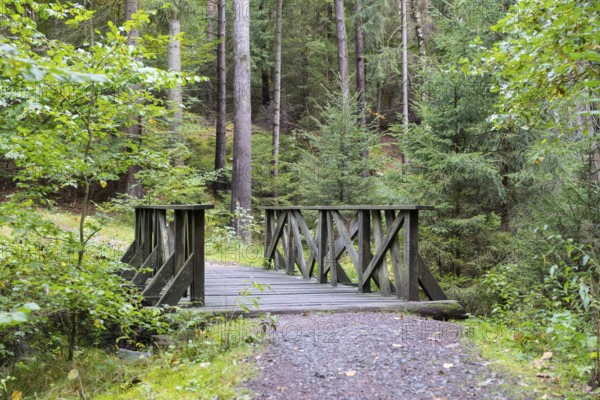 Alte Acht Bridge, wooden bridge on the Alte Acht hiking trail through the Dresden Heath, Dresden, Saxony, Germany