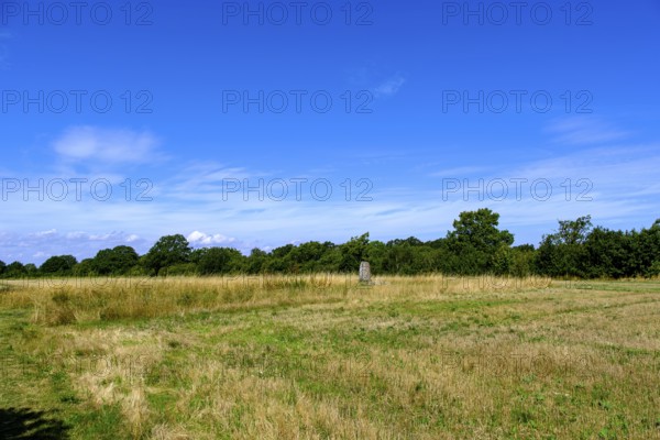 The Karlevi stone is a rune stone and part of a burial site, probably from the Viking Age around 1000, near Färjestaden on the island of Öland, Kalmar län, Sweden