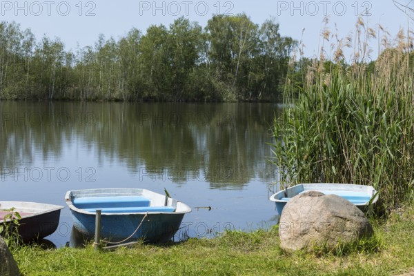 Rowing boats lying on the bank of the middle pond near Neudorf Klösterlich, Wittichenau, Dubringer Moor, Saxony, Germany