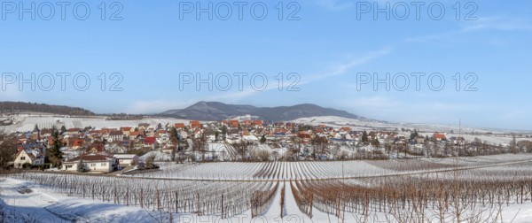View over snow-covered vineyards to the wine village of Ranschbach, Southern Palatinate, Palatinate, Rhineland-Palatinate, Germany
