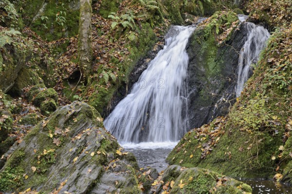 Waterfall in the wild Endert Valley, Moselle, Rhineland-Palatinate, Germany