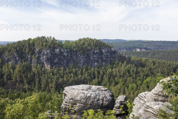 View from the Kleiner Bärenstein to the Großer Bärenstein, Saxon Switzerland, Saxony, Germany