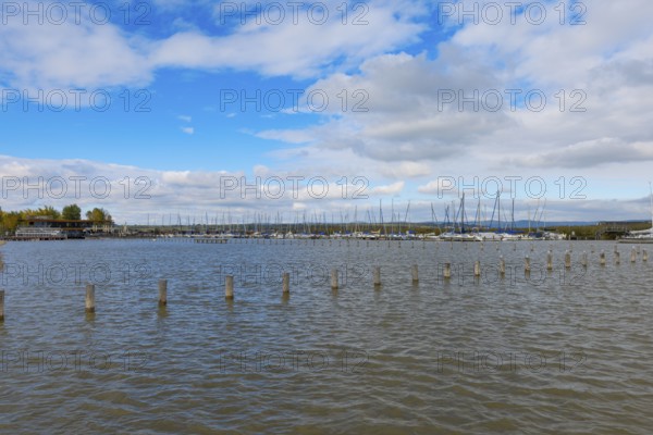 View of a harbour full of yachts under a blue sky with clouds, Lake Neusiedl, Burgenland, Austria