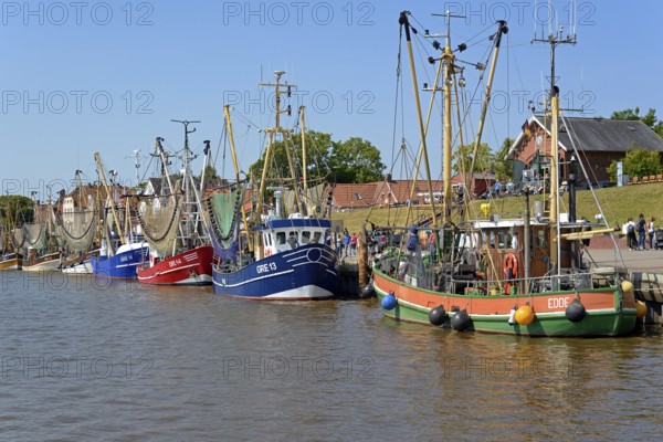 Crab cutter in the harbour of Greetsiel, blue sky, North Sea, Lower Saxony, Germany