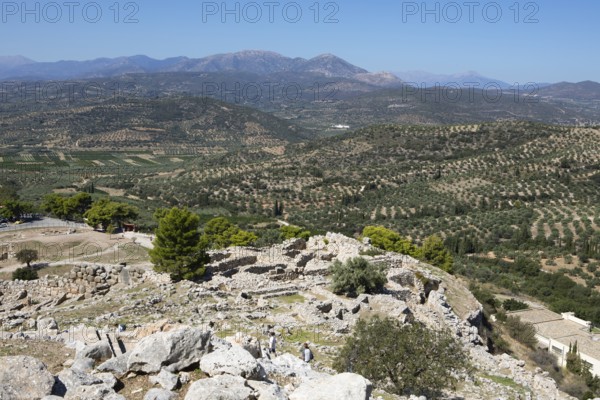 View of olive groves from the citadel, Mycenae, Greek archaeological site, Argolis, Peloponnese, Greece