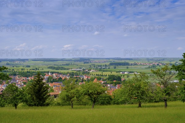 In the Buchleite nature reserve, Markt Berolzheim, Altmühltal, Middle Franconia, Franconia, Bavaria, Germany