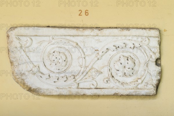 Fragment of a frieze slab with continuous scrollwork, white marble, Municipal Lapidarium, City of Stuttgart, Baden-Württemberg, Germany