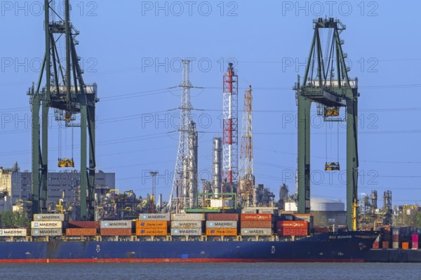 Gantry cranes and stacked containers on container ship docked at container terminal in the port of Antwerp seaport, harbour, Flanders, Belgium