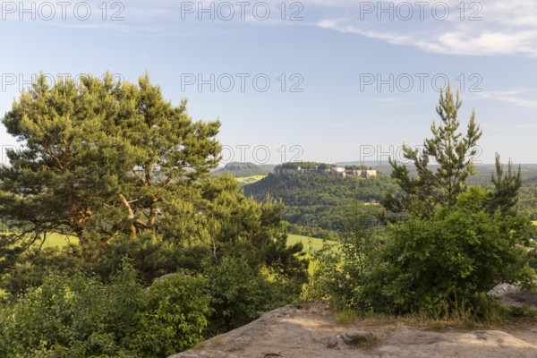 View from Kleiner Bärenstein to Königstein Fortress and Pfaffenstein, Saxon Switzerland, Saxony, Germany