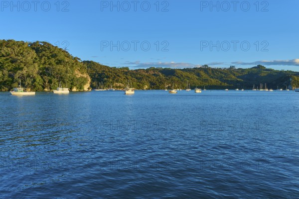 Blue water of the bay with several boats and green hills under a clear sky, Whitianga, Wakaito, Coromandel Peninsula, South Island, New Zealand