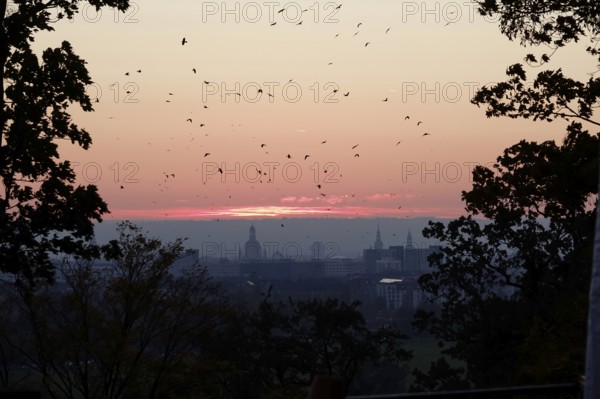 View of the Church of Our Lady Dresden, October evening, Dresden, Saxony, Germany