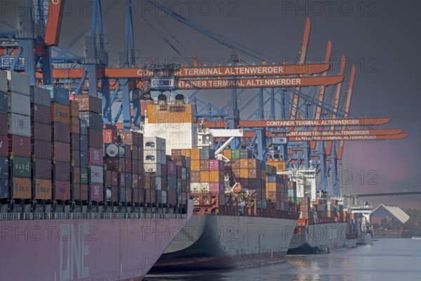Container ships, container port, Altenwerder, CTA, container giants, One, shipping company, crane, container bridge, logistics, economy, shop, Hamburg, Germany