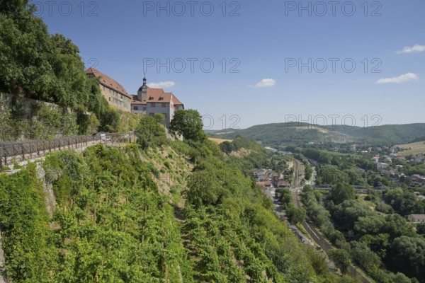 Old castle, vineyards, panorama, Dornburg, Thuringia, Germany