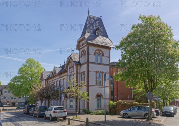 Old town hall Geesthacht at the Rathaussctrasse, in front of it a blossoming chestnut tree in spring. Geesthacht, Schleswig-Holstein, Germany
