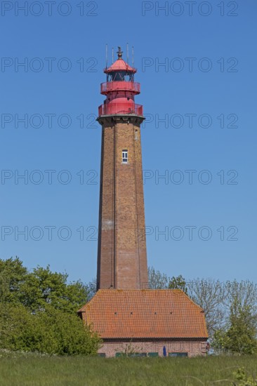 Lighthouse, house, Flügge, Fehmarn, Schleswig-Holstein, Germany