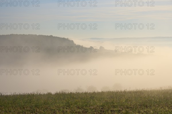 Landscape, Field, Valley, Forest, Fog, Morning, Altertheim, Würzburg, Bavaria, Germany