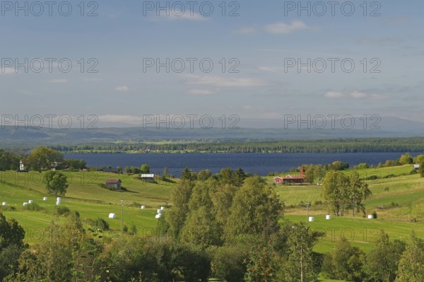 A wide, green landscape with meadows, fields and groups of trees in front of a lake and blue sky, Storsjön, Jämtland, Sweden