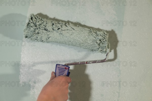 Person paints wall with light green paint and holds paint roller for painting work, Stuttgart, Baden-Württemberg