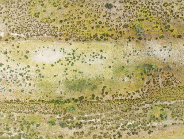 Detail of marshland near Sanlúcar de Barrameda. Aerial view. Drone shot. Cádiz province, Andalusia, Spain