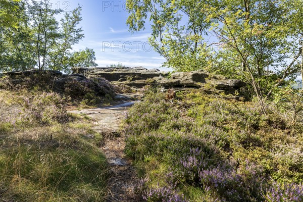 On the Großer Zschirnstein, Reinhardtsdorf-Schöna, Saxon Switzerland, Saxony, Germany
