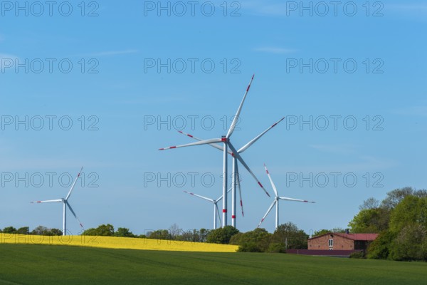 Small wind farm between agricultural areas, rape cultivation, barley, deciduous trees, close to the farmhouse, minimum distance, blue sky, sunny spring day, landscape Schwansen, Schleswig-Holstein, Germany