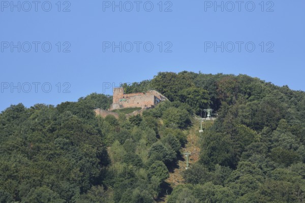 Rietburg near Edenkoben, Wine Route, Palatinate Forest, Rhineland-Palatinate, Germany