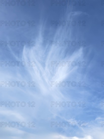 Cirrus veil cloud Feather cloud in the shape of a flower in blue sky, international
