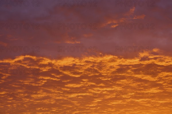Dramatic sky with orange-red clouds at sunrise, Großheubach, Miltenberg, Main, Spessart, Bavaria, Germany