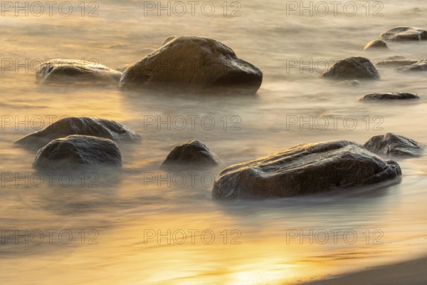 Evening on the chalk coast in Jasmund National Park, Rügen, Sassnitz, Mecklenburg-Western Pomerania, Germany