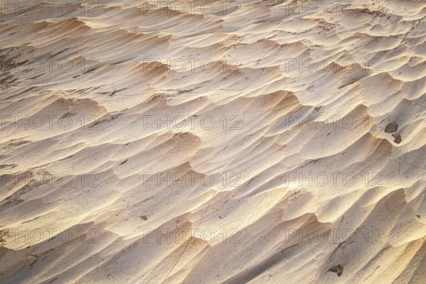 Fascinating texture of a pumice field in Catamarca, Argentina. The natural formations create a landscape of undulating waves and shadows under dim lighting