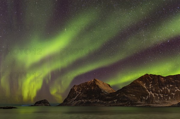 Aurora over the mountains and sea of Lofoten, Northern Lights, Northern Lights, Landscape, Leknes, Nordland/Lofoten, Norway