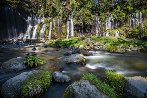 Shiraito Waterfall, long exposure, Fuji-Hakone-Izu National Park, Yamanashi Prefecture, Japan