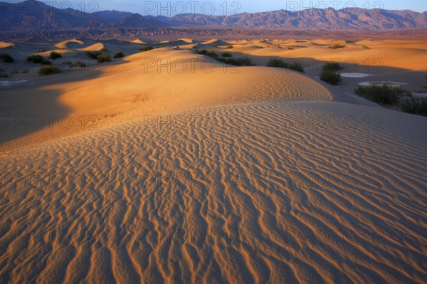 Dead Valley, California, USA, Dead Valley, California, USA