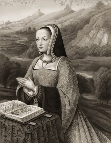 Queen Anne of Brittany, digitally altered