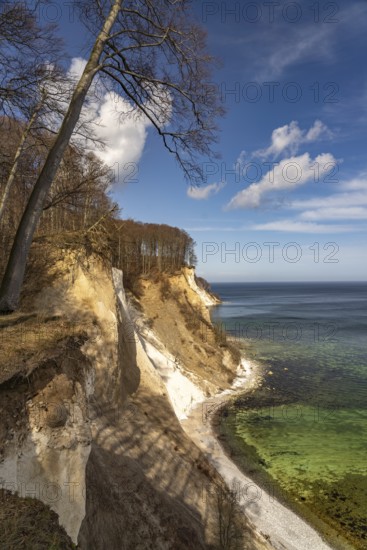 The famous chalk cliffs on the Baltic Sea coast in Jasmund National Park, Ruegen Island, Mecklenburg-Western Pomerania, Germany
