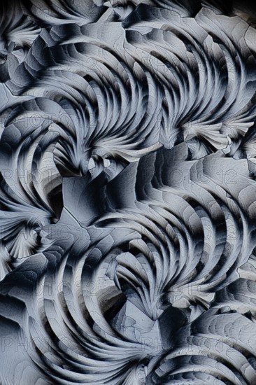 Stunning black and white microscopic image showcasing intricate patterns of salicylic acid microcrystals